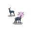 animal